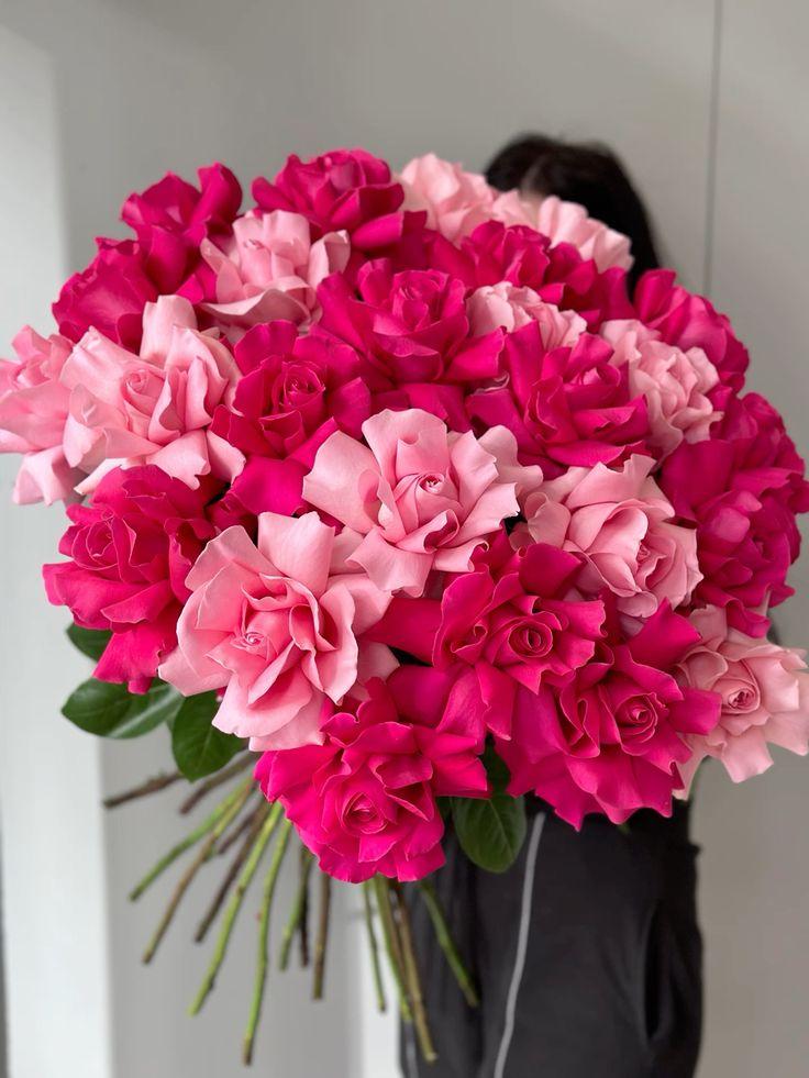 Harmony in Bloom Pastel Poetry Cluster
